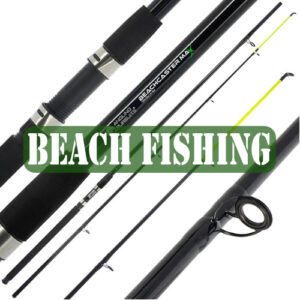 Sea / Beach Fishing